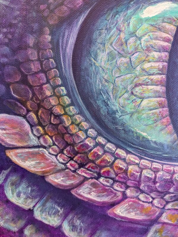 Oeil de dragon – Image 2