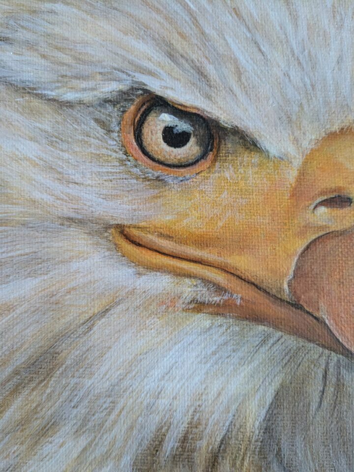 Eagle - Image 2