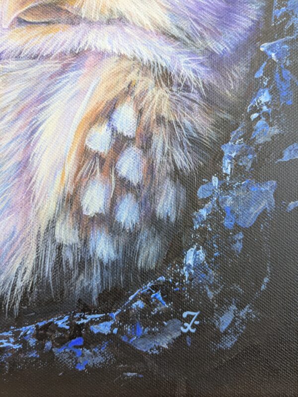 Chouettes – Image 4