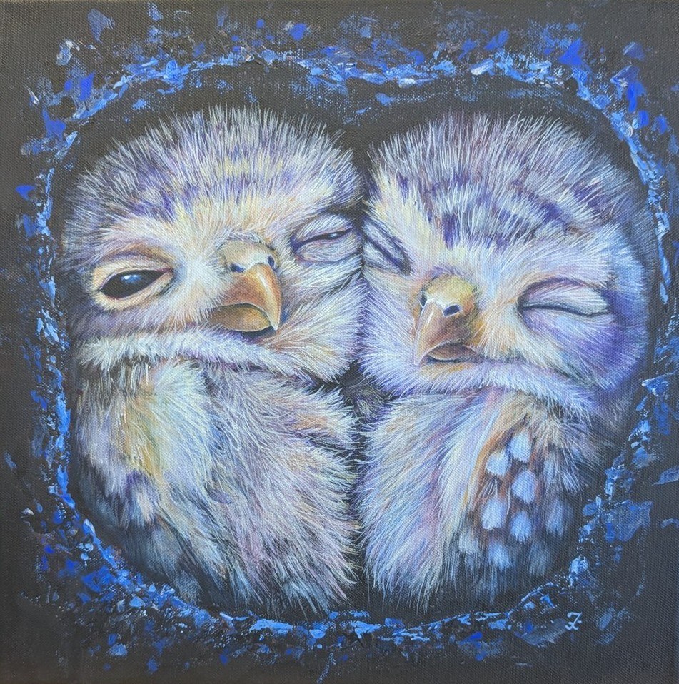 Bébé chouettes, peinture acrylique de deux jeunes chouettes endormies par IrisColors
