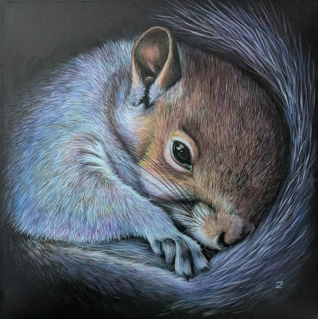 Ecureuil, peinture acrylique d'un écureuil enroulé dans sa queue par IrisColors