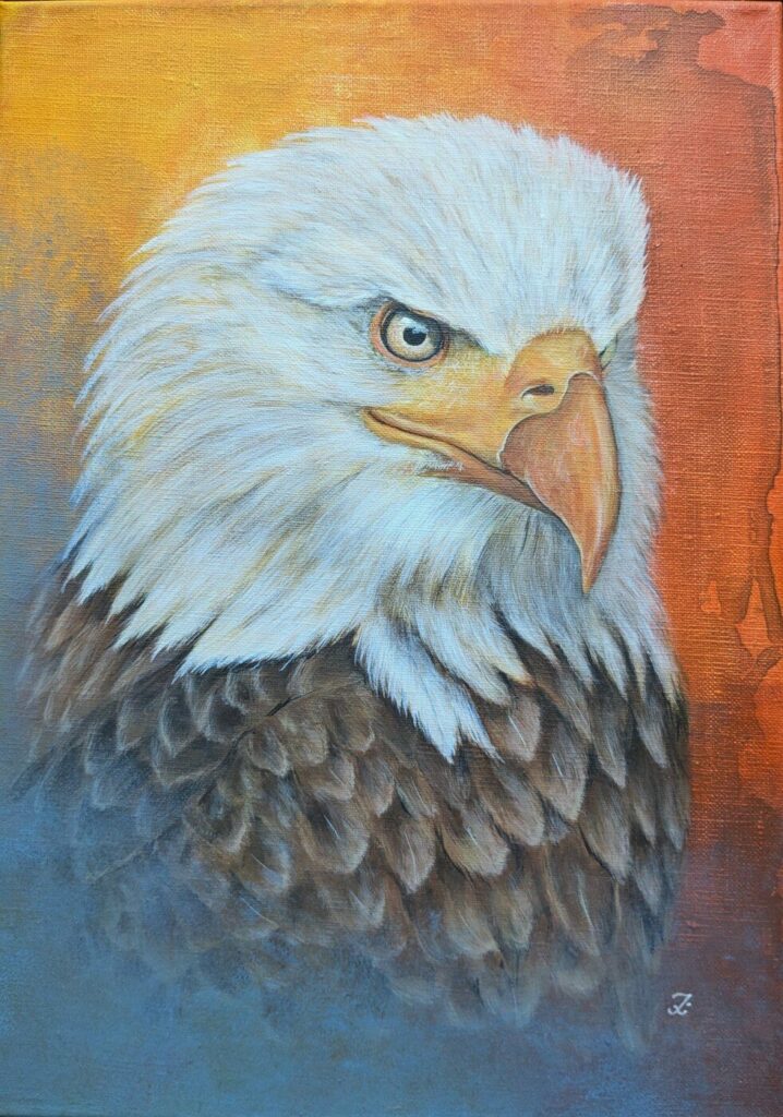 Pygargue, peinture acrylique d'un pygargue à tête blanche par IrisColors